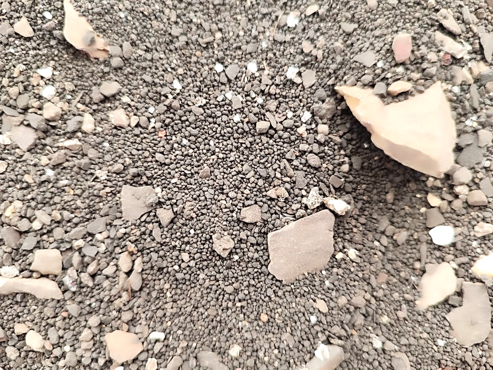 Proyecto BIO-SEBE: economía circular para pavimentos de bajas emisiones