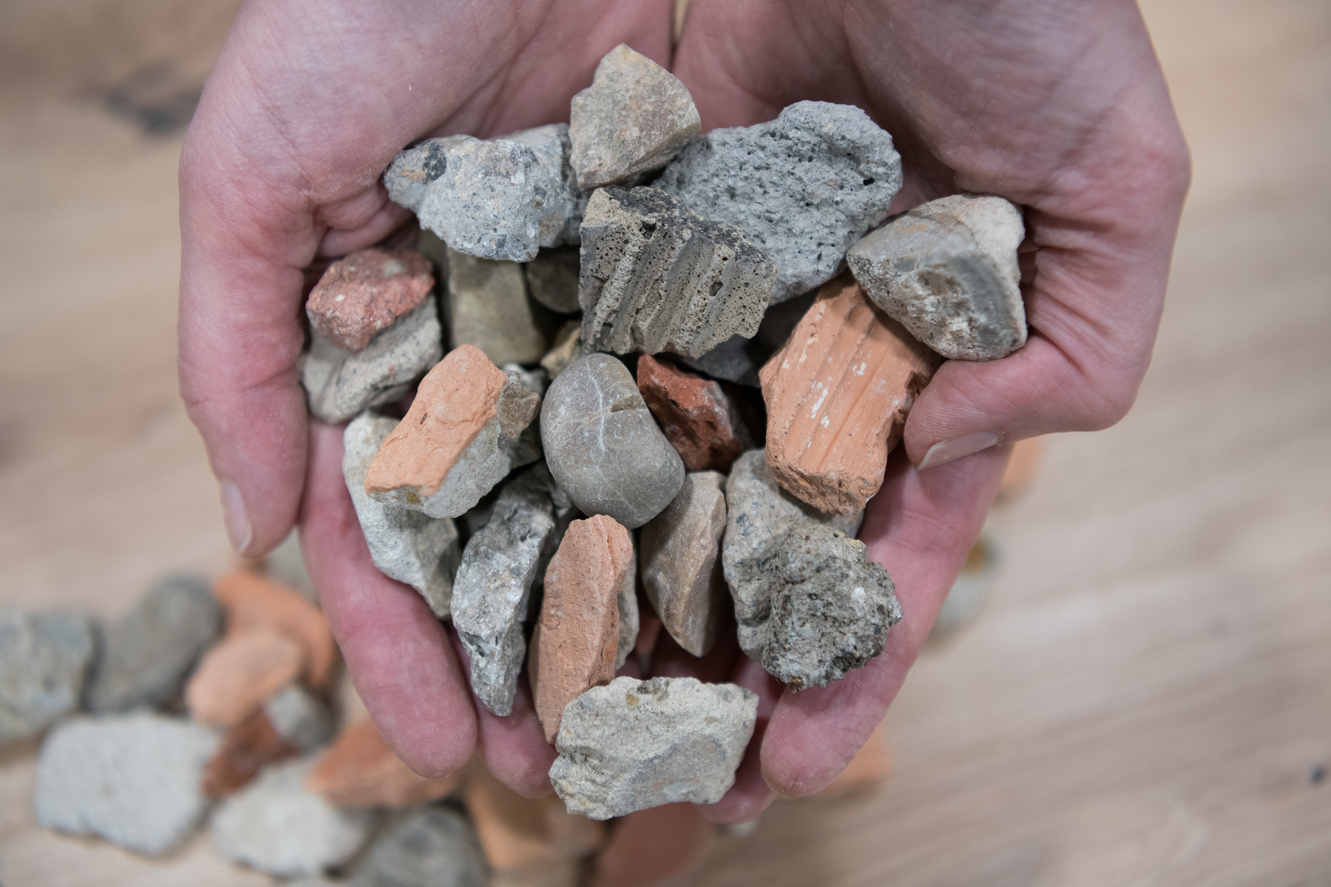 En Pavitek la sostenibilidad no nace como un “discurso”, sino como una creencia